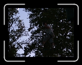 equinox76 (61) * 1632 x 1224 * (1.13MB)